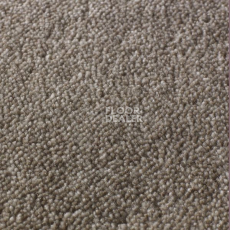 Ковролин Jacaranda Carpets Rajgarh Dappled Brown фото 1 | FLOORDEALER